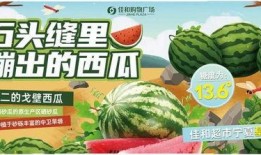 吃瓜爆料短剧吃瓜爆料大赛每日聚集地 今日吃瓜网,揭秘“吃瓜爆料短剧”大赛，每日热点聚集地