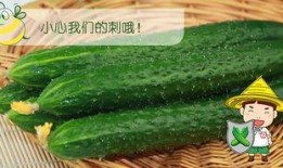 今日吃瓜.吃瓜网官网,揭秘吃瓜网官网最新热点事件